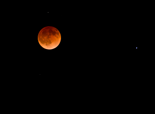 Illustration for article titled Stunning Images From Last Night's Blood Moon